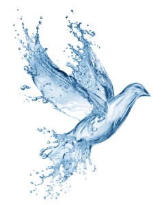 dove made out of water splashes